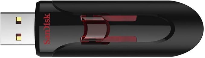 SanDisk 64GB (10 Pack) Cruzer Glide USB 3.0 Flash Drive SDCZ600-064G Bundle with (1) GoRAM Black Lanyard (64GB, 10 Pack)