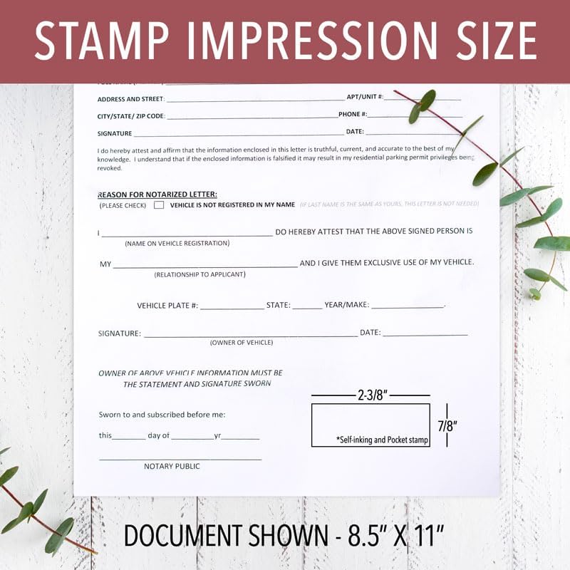 Delaware Rectangular Notary Stamp | Official State Notary Stamp | Official Seals | Meets State Specifications (Delaware, Rectangular Stamp)