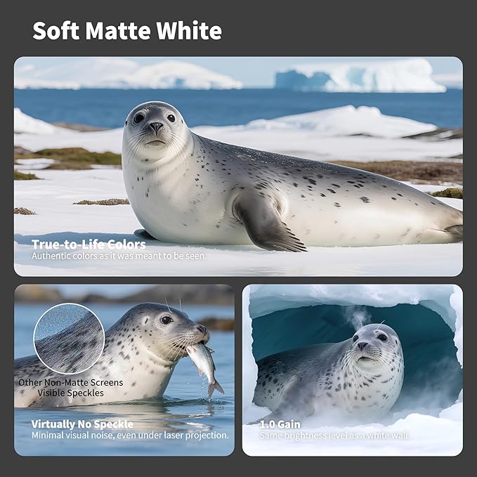 QuadraArc Motorized Drop Down Projector Screen 16:9 White Matt, Wall & Ceiling Mount, Electric Pull Down Screen with Remote Control, Compatible with All Projectors 110"