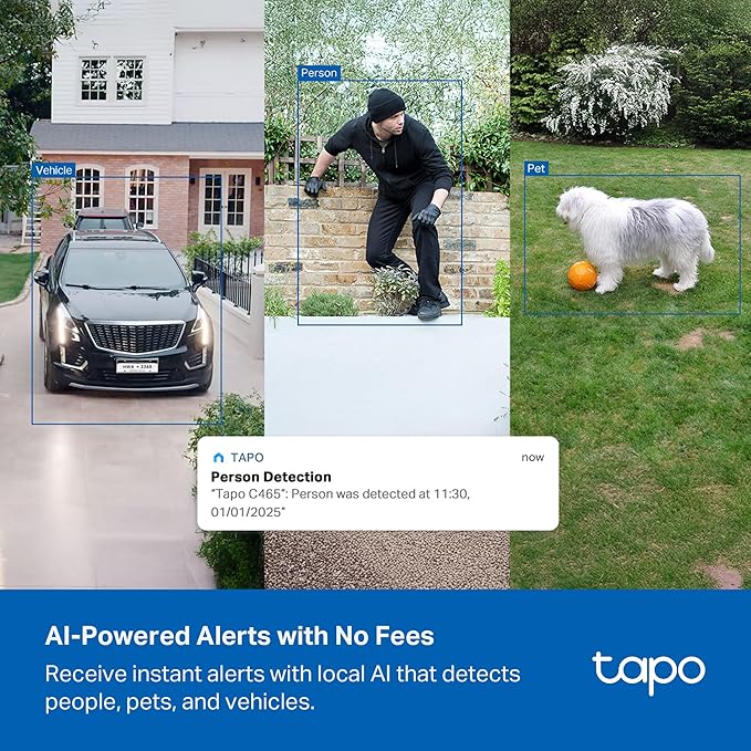 Tapo 4K Outdoor Battery Camera Wireless, Security Camera with Integrated Solar Panel, Person/Vehicle/Pet Detection, Works w/Alexa & Google Assistant, Color Night Vision, SD/Cloud Storage, C465